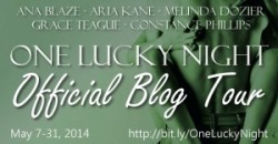Blog Tour: One Lucky Night