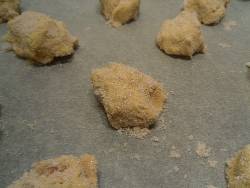 before oven close-up