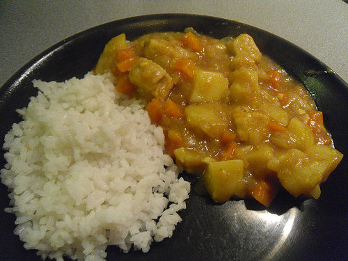 Japanese Curry close up