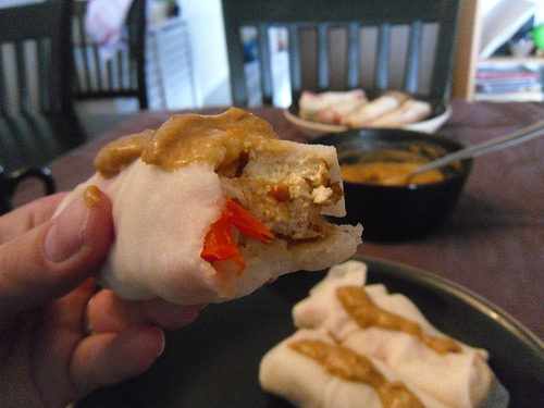 Spring roll close up