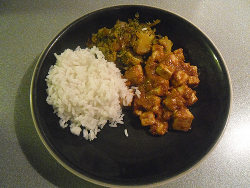 Rice-with-Tofu-and-Broccoli-top-view
