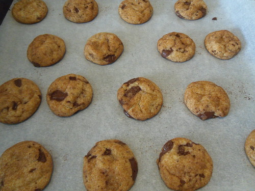/Snickerdoodles-with-Chocolate-Chips