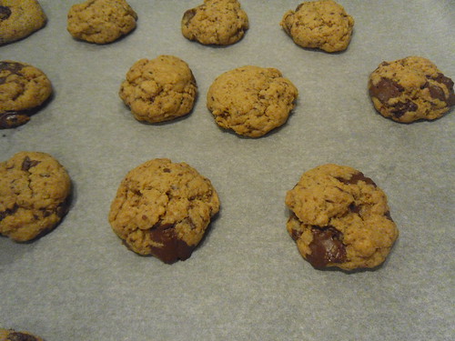 Toasted-Coconut-Chocolate-Chip-Cookies