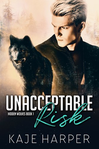 Review: Unacceptable Risk by Kaje Harper