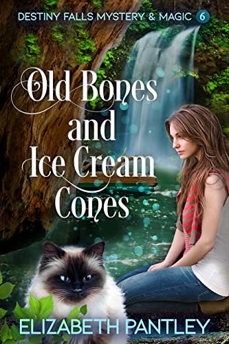 Review: Old Bones and Ice Cream Cones by Elizabeth Pantley